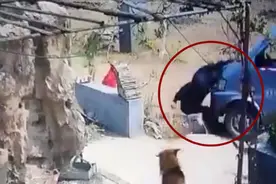 保定一男子驾车撞死同村人，曾合伙开养鸡场，拆伙后发生激烈争执视频封面