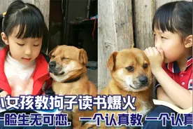小女孩教狗子读书爆火，一脸生无可恋，一个认真教 一个认真听！视频封面