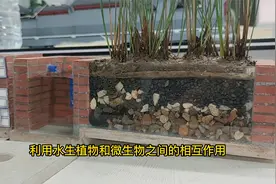 农村自建房下水完美解决方式，五段式化粪池，排放环保无异味视频封面