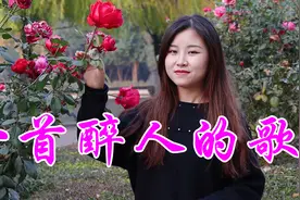 女歌手一曲DJ情歌《一首醉人的歌》，风韵十足，让人听不够视频封面