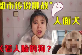 【都市传说挑战】长着人脸的狗，夜晚会出来寻找人类？视频封面
