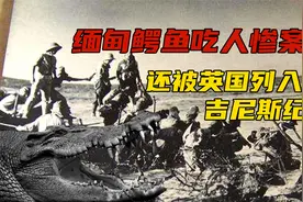 缅甸鳄鱼吃人惨案！二战中上千日军被吞，被英国列入吉尼斯纪录！视频封面