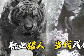 河南奇人何广位，比武松还勇猛，生擒7只猛虎、9头牛、230多只豹视频封面