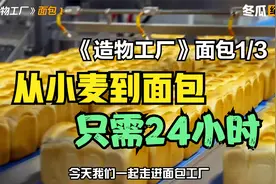 从小麦到面包只需24小时，纪录片解说，探秘面包生产全过程视频封面