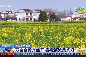 春天里的中国！感受奋进中国的生机与活力视频封面
