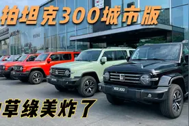 实拍坦克300颜色，新增的种草绿美炸了，你喜欢哪个颜色？