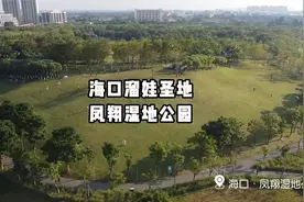 海口绝佳溜娃圣地：美舍河凤翔湿地公园视频封面