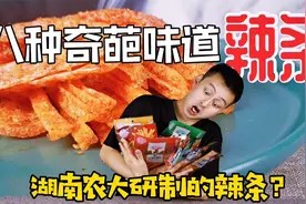 官媒提名的宝藏零食，湖南农大研发出的辣条？一共8种罕见口味视频封面