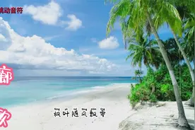 607080集体回忆 酒廊情歌经典串烧视频封面