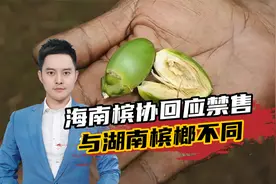 海南槟协回应禁售：涉及百万农民利益，海南槟榔与湖南槟榔不同视频封面