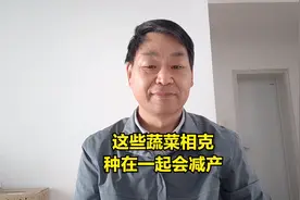 这些蔬菜品种相生相克，种在一起病虫害发生重，还会造成减产视频封面