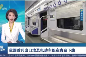 舒适度满满！我国首列出口埃及电动车组在青下线,设计时速120公里视频封面