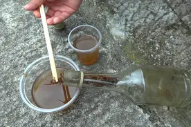 蜈蚣有什么用？蜈蚣泡酒作用非常大，好多人都不知道视频封面