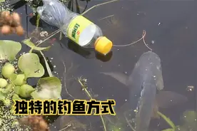 独特的钓鱼方式，聪明的小黑用塑料瓶钓鱼，收获满满视频封面