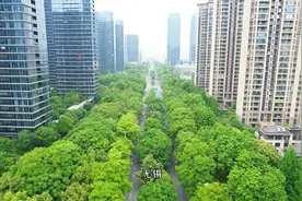 江苏省无锡市，一座森林城市，21公里国际马拉松赛道犹如绿野仙踪视频封面