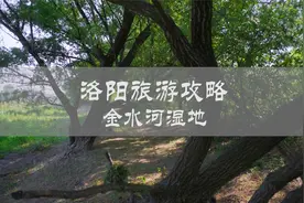 目前很少有人踏足的宝地距离洛阳市区十多公里，可以钓鱼捉小龙虾
