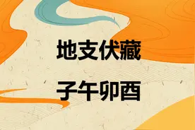 地支伏藏之子、午、卯、酉视频封面