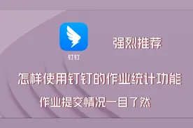 怎样使用钉钉的作业统计功能，学生某段时间作业提交情况一目了然
