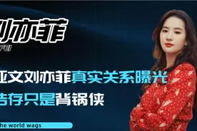 朱亚文宠妻人设崩塌，自曝与刘亦菲关系匪浅，沈佳妮态度惹人称赞视频封面