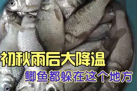 暴风雨后刮西南风,3米的深水久守无口,改钓这里,鲫鱼连竿
