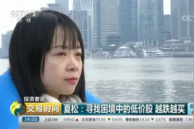 投资者说 夏松：寻找困境中的低价股 越跌越买视频封面