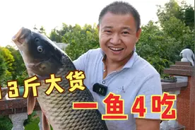 13斤大鲤鱼，小伙做4种吃法，全家老小围坐一桌，边吃边聊真开心视频封面