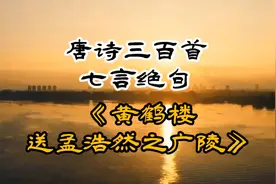 唐诗三百首《黄鹤楼送孟浩然之广陵》李白视频封面