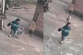 萌娃回老家被大公鸡猛追，逃跑路上不停大声哭嚎：这公鸡活到头了视频封面