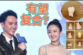 赵丽颖晒拔出的智齿图，被网友画成可爱漫画，与冯绍峰有望复合？视频封面