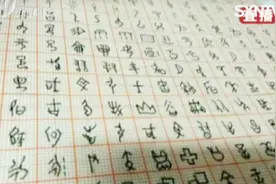还有一大半未破译！甲骨文破译单字奖励10万元，有没有心动？视频封面