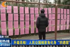 全新升级亮相！成都人民公园相亲角化身“织遇园”视频封面