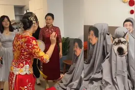 新娘婚礼整活，伴郎们假扮新娘，丈母娘：好不容易嫁出去别整黄了视频封面