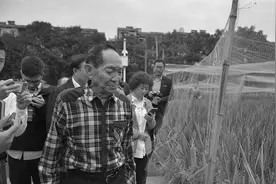 送别院士！袁隆平因多器官功能衰竭去世 享年91岁视频封面