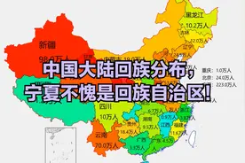 中国大陆回族分布，宁夏不愧是回族自治区！视频封面