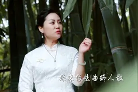 2019新歌《红尘插曲》，寄君一首相思曲，不问曲终人聚散视频封面