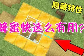 我的世界：蜂蜜块还有这些妙用？这七个特性你知道吗？快学起来