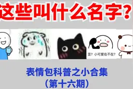 【表情包科普16】表情包小合集来了，这5个表情包叫什么名字呢？视频封面