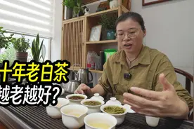 十年的老白茶是什么滋味？对泡两款新茶，看白茶是不是越老越好？视频封面
