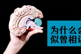 我们为什么会对某一场景有似曾相识的感觉？看完涨知识了视频封面