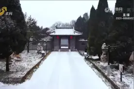 美不胜收！大雪如约而至，潍坊青州披“银装”，白雪皑皑银装素裹视频封面