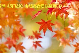 林翠萍《风飞沙》专辑高音质珍藏版CD视频封面