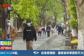 做好常态化防控，安逸安心游四川视频封面