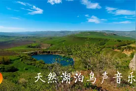 【助眠减压】8小时音乐：鸟儿柔和歌唱＋天然湖泊美境，惬意休闲视频封面