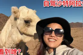 自驾沙特阿拉伯安全嘛？妹子离开欧拉开往红海，四百公里能看到啥视频封面