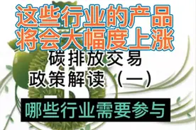 双碳政策落实后八大高耗能企业生产成本上升导致产品将会大幅上涨视频封面
