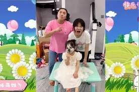 姐姐把妈妈的小狗狗送人了视频封面