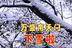 万盛南天门下雪啦，离主城只要2个小时，直接开到山顶赏雪去视频封面