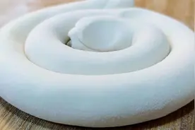 如何和出好面团？面点师教你详细技巧，伸缩自如劲道足