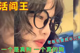活阎王不多见了：兔子表示你最好有事，一个是真狗 一个真的狗视频封面