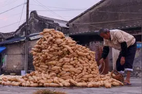 萝卜放10年以上会怎样？看潮州人的高招，凝固了时间的味道！视频封面